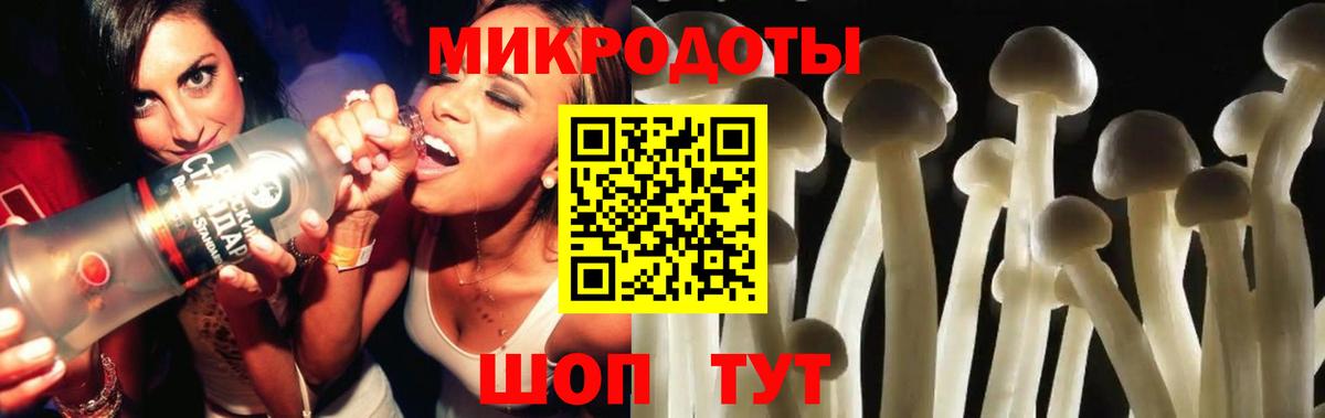 Псилоцибиновые грибы GOLDEN TEACHER  Вход с VPN  Псилоцибиновые грибы GOLDEN TEACHER  Советская Гавань 