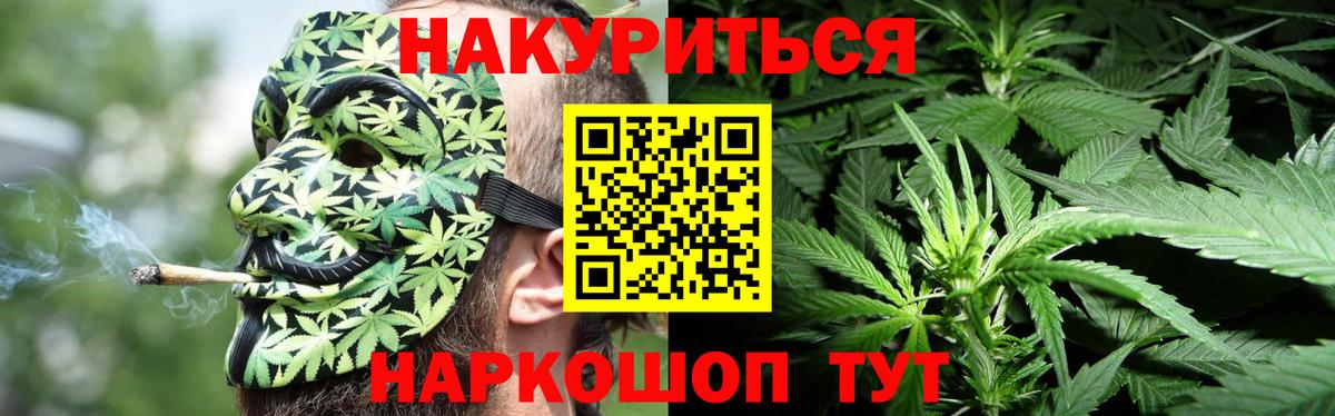 Бошки Шишки гибрид  Конопля план  Вход с VPN  Советская Гавань  Конопля THC 21% 
